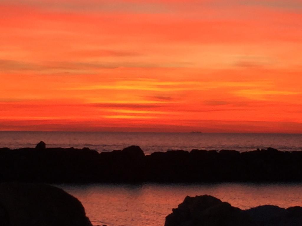 Villino Ermione Hotel Marina Di Pisa Luaran gambar